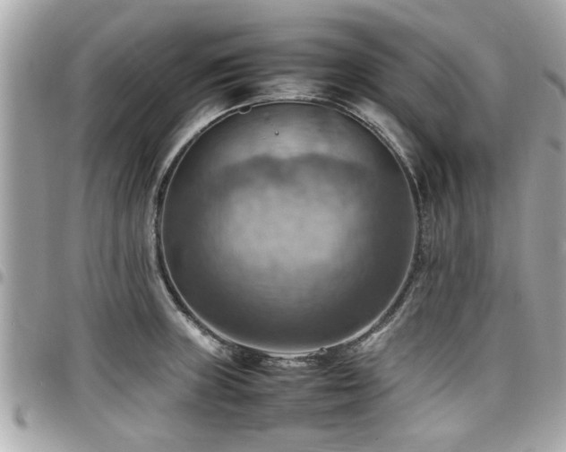 X0000098001235200803241334
