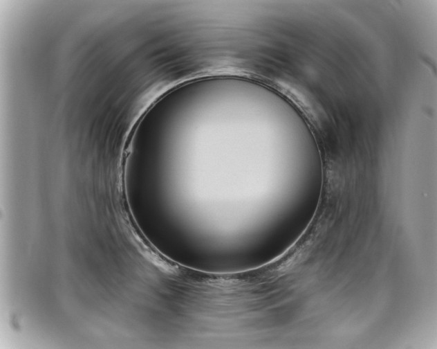 X0000098001236200803241334