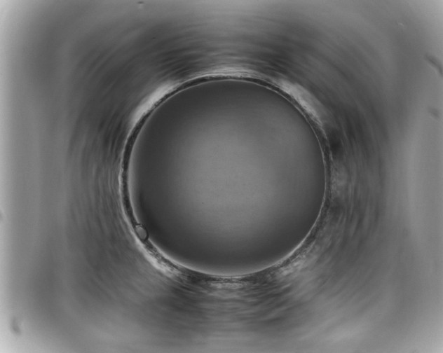 X0000098001237200803241335