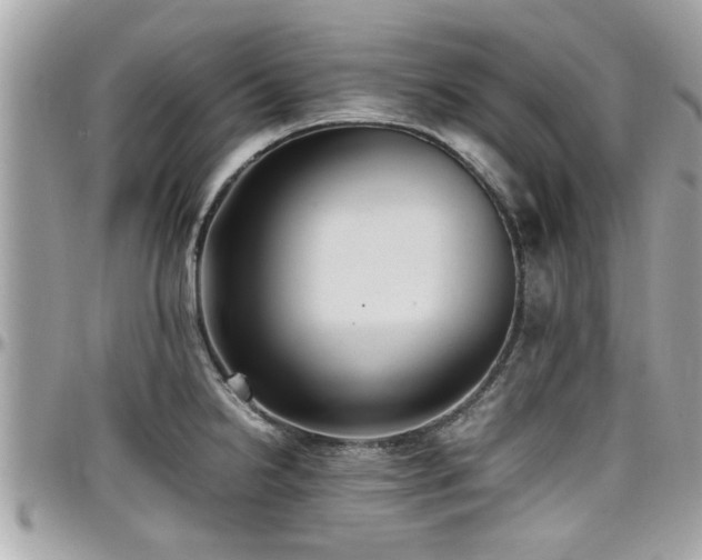 X0000098001238200803241335