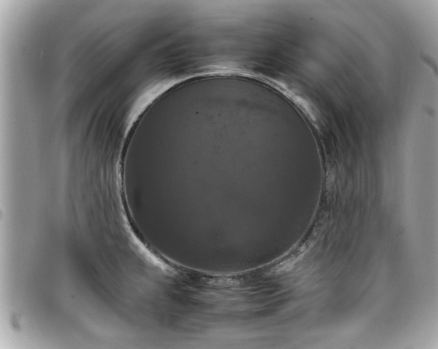 X0000098001239200803241335
