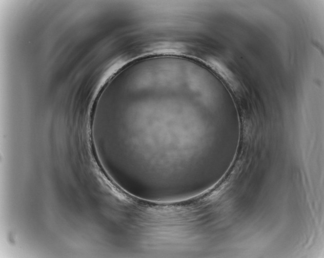 X0000098001240200803241335
