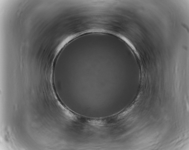 X0000098001245200803241335