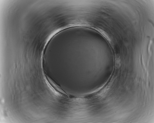 X0000098001246200803241335