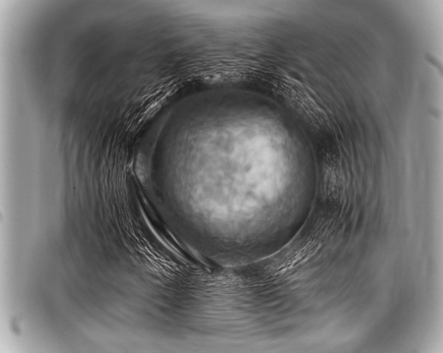 X0000098001250200803241334
