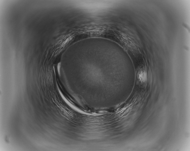 X0000098001252200803241334
