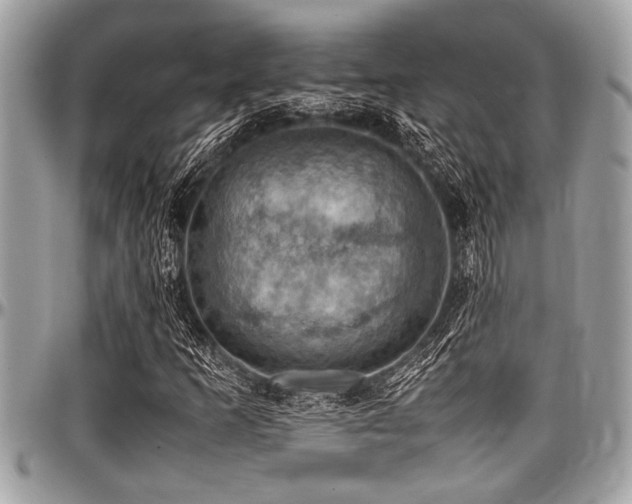 X0000098001253200803241334