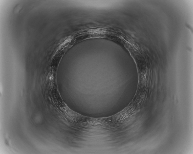 X0000098001254200803241334