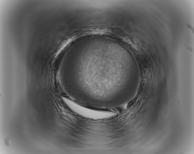 X0000098001256200803241334