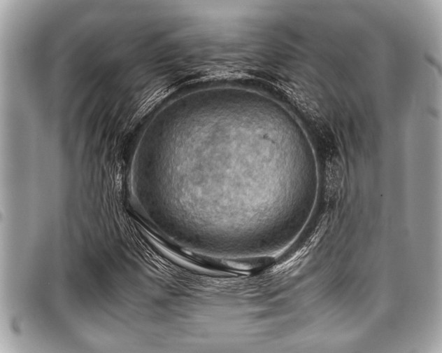 X0000098001257200803241334