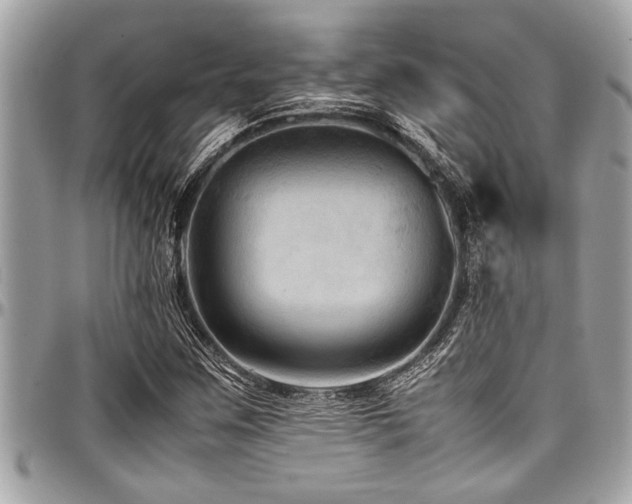 X0000098001259200803241334