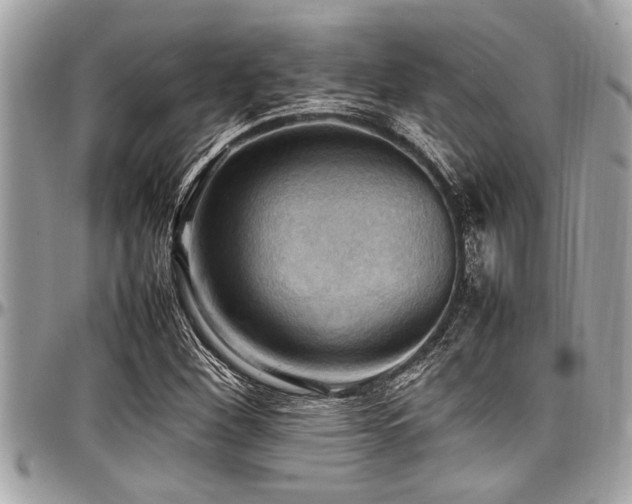 X0000098001260200803241334