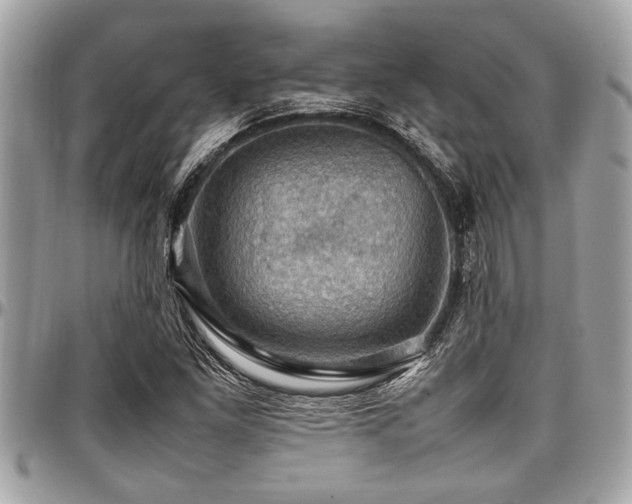 X0000098001261200803241334