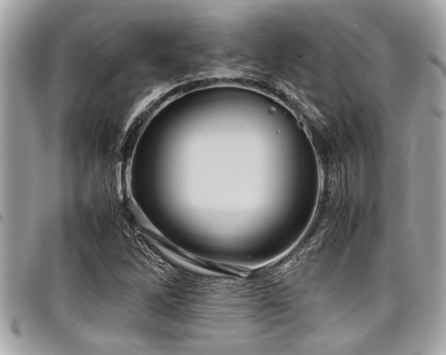 X0000098001262200803241334