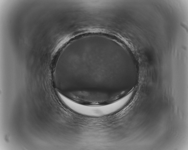 X0000098001263200803241334