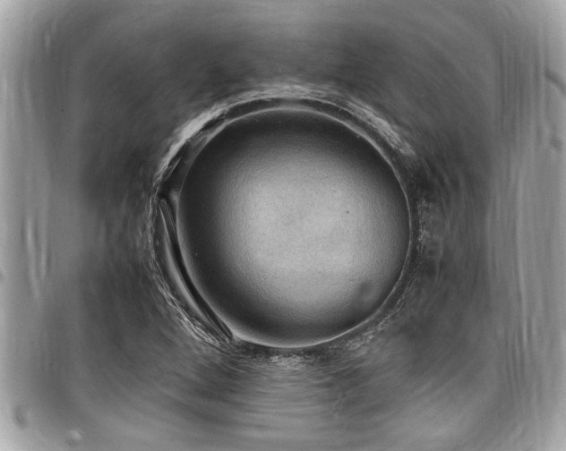 X0000098001264200803241334