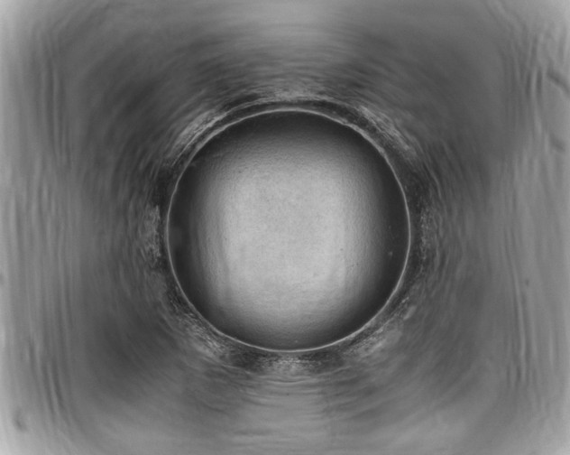 X0000098001265200803241334