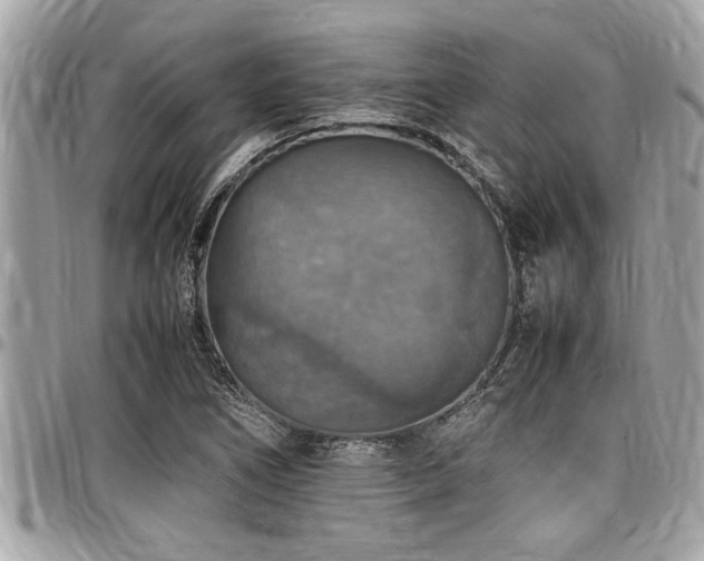 X0000098001266200803241334