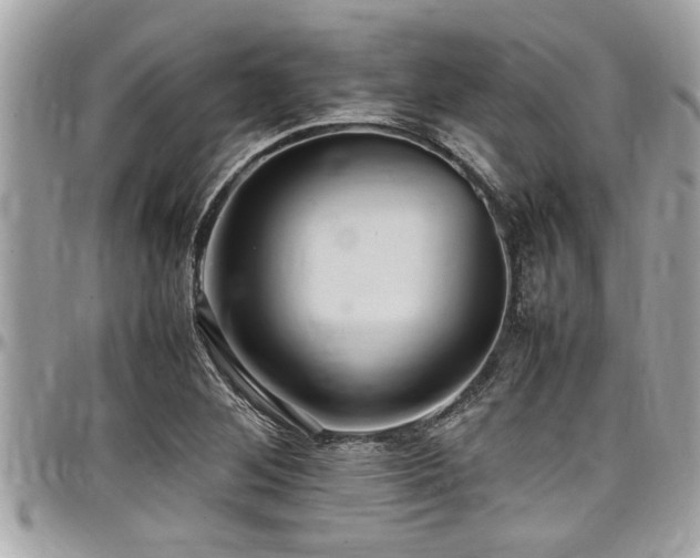 X0000098001268200803241334