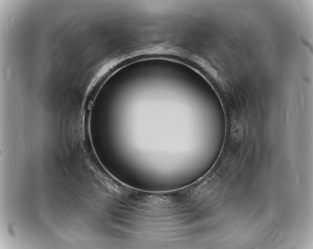 X0000098001270200803241334