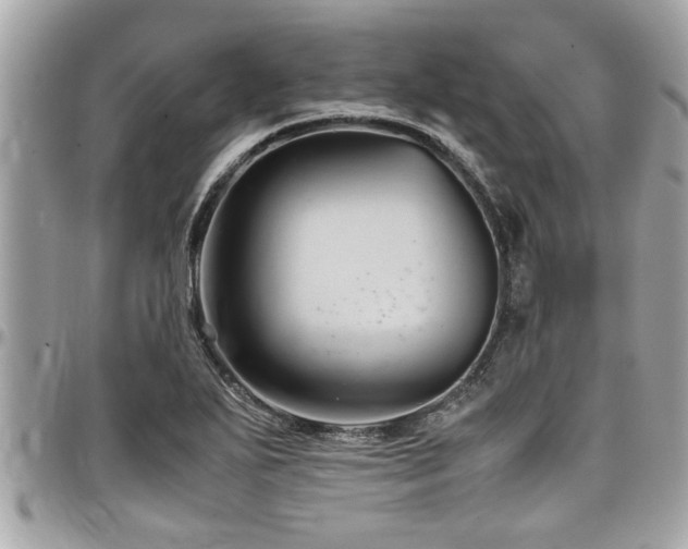 X0000098001271200803241334