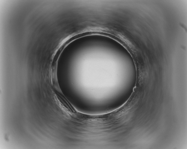 X0000098001272200803241334