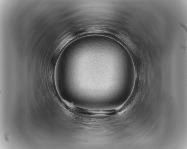 X0000098001273200803241334
