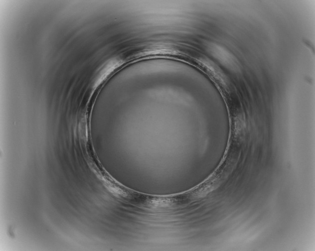 X0000098001274200803241334