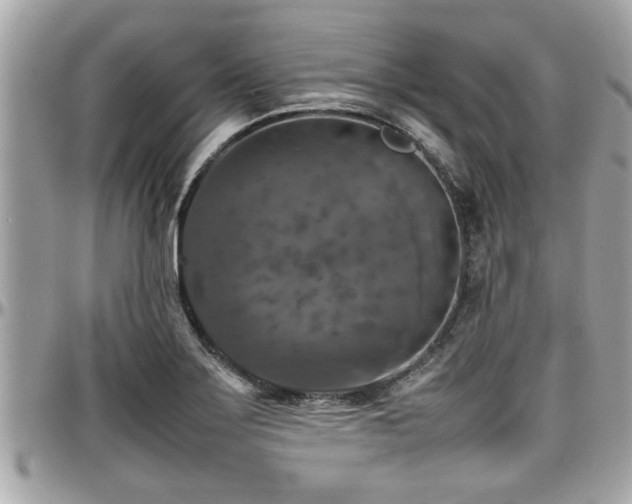 X0000098001275200803241334