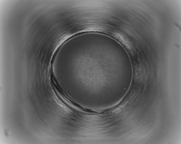 X0000098001276200803241334