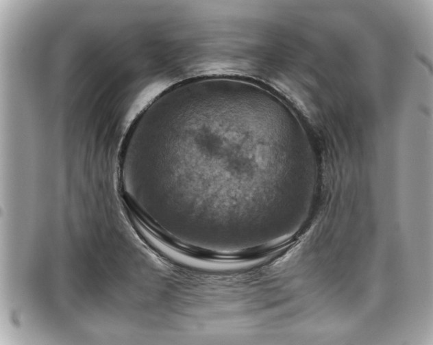 X0000098001277200803241334