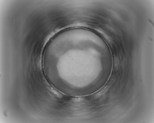 X0000098001278200803241334