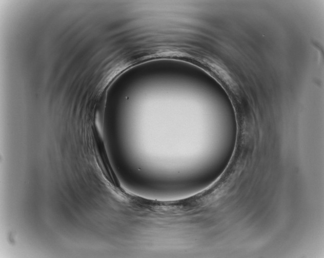 X0000098001281200803241334