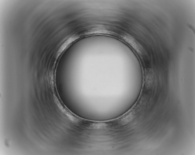 X0000098001282200803241334