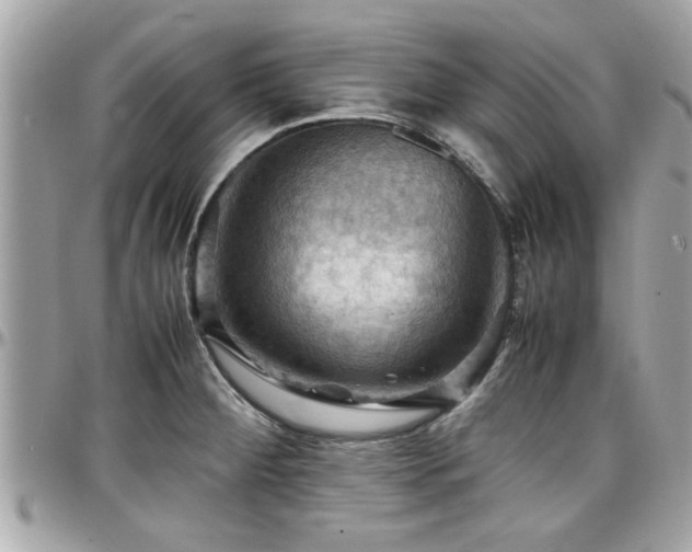X0000098001284200803241334