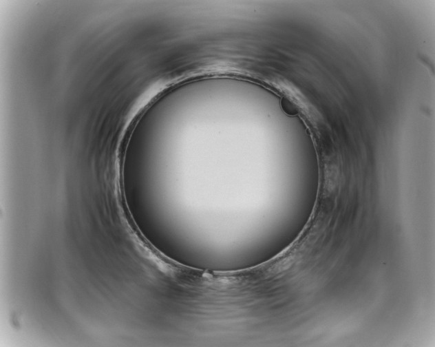 X0000098001286200803241333