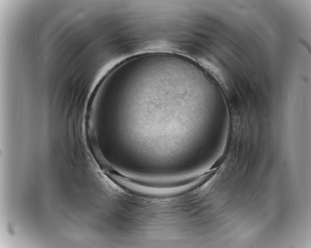 X0000098001288200803241333
