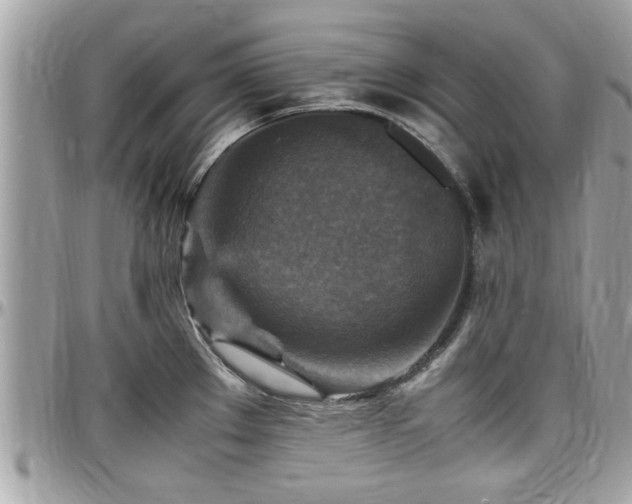 X0000098001289200803241333
