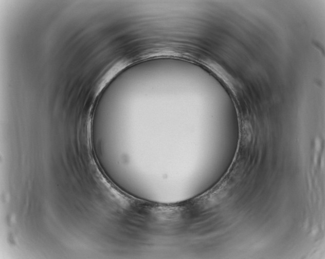 X0000098001290200803241333