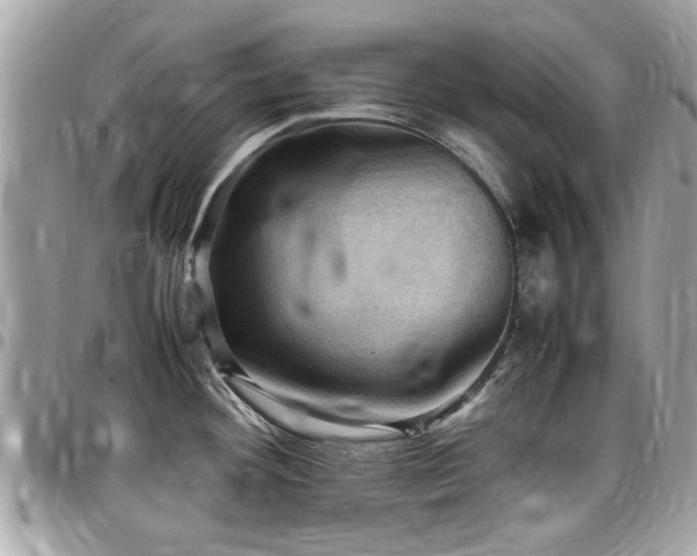 X0000098001292200803241333