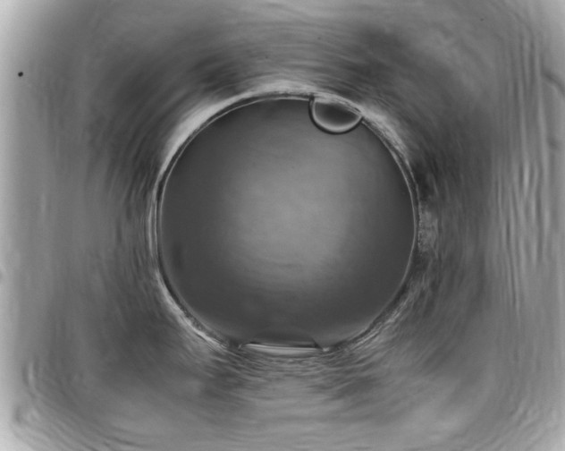 X0000098001295200803241333