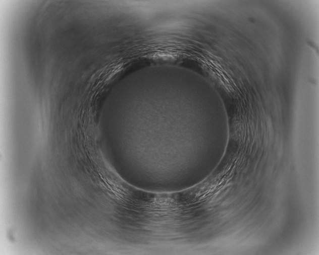 X0000098001297200803241333