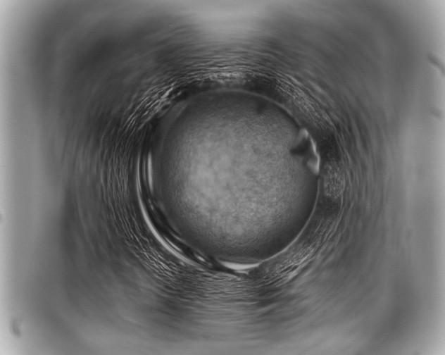 X0000098001298200803241333