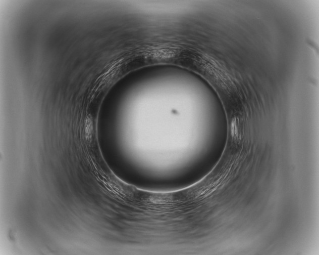 X0000098001299200803241333