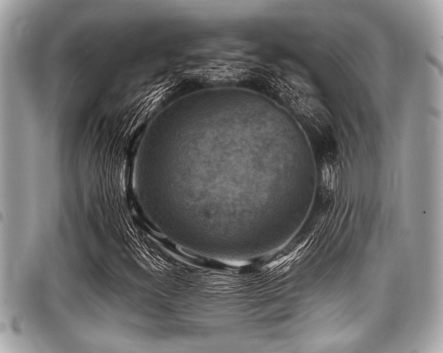 X0000098001300200803241333
