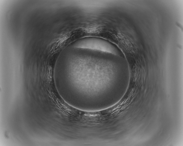 X0000098001301200803241333