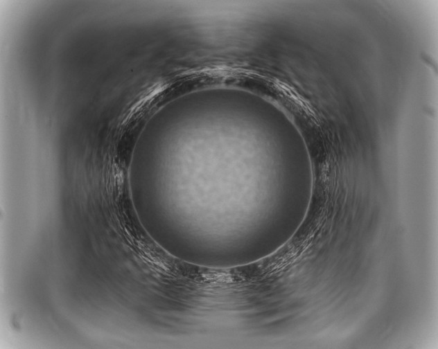 X0000098001302200803241333