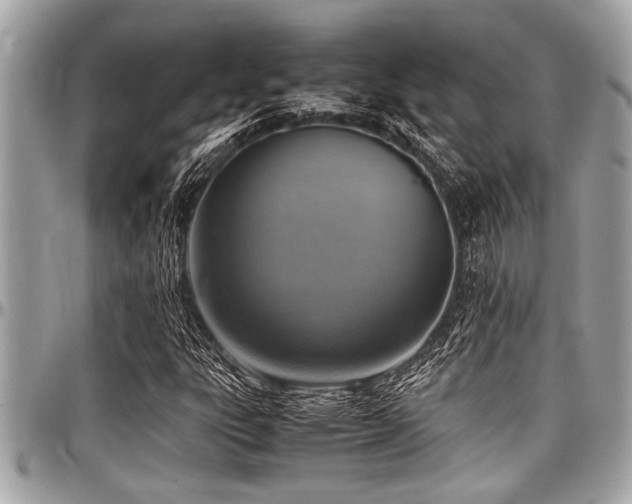 X0000098001303200803241333