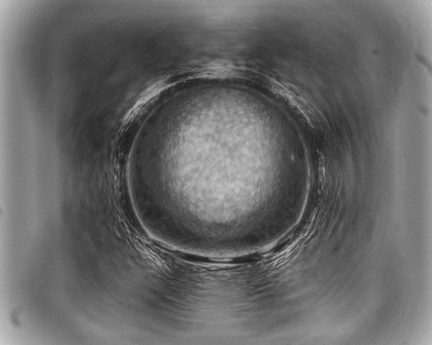 X0000098001304200803241333