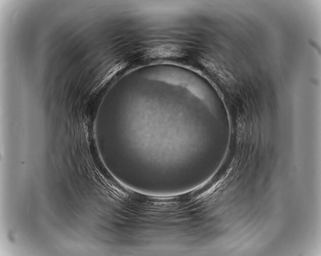 X0000098001305200803241333